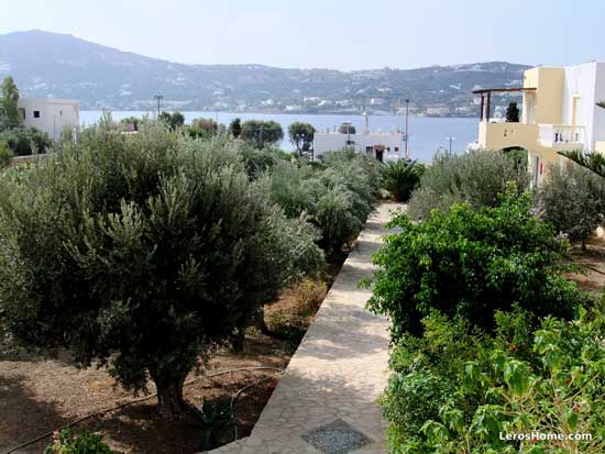 path through olive trees in gardens of villa complex